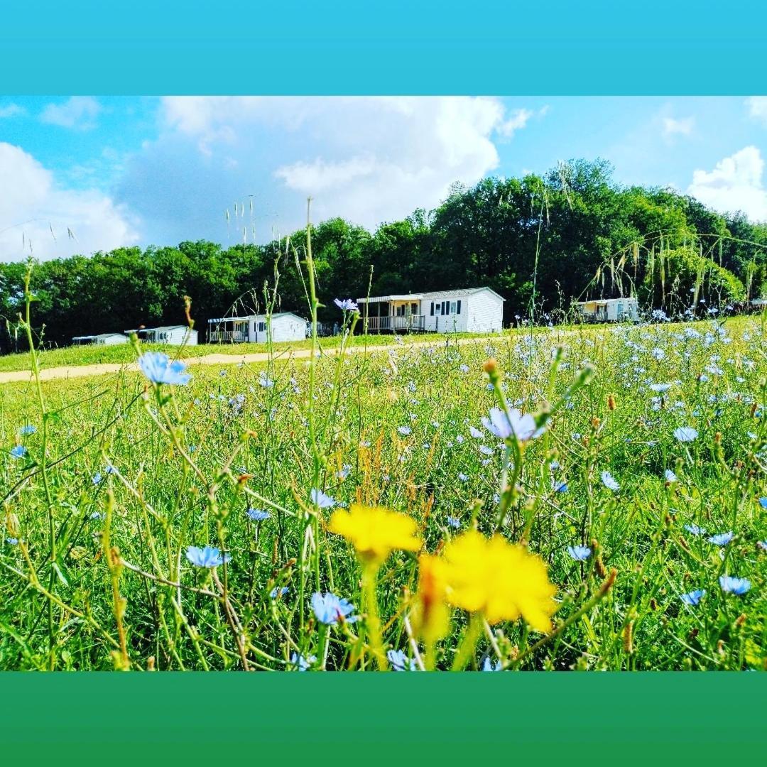 Camping Nature Le Valenty Mobil-Home-Dordogne Panoramique Clim Piscine Soturac Exterior foto